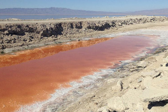 Turn Off The Sun :: Visions Of Hell From California’s Salton Sea