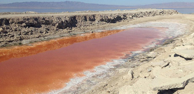 Turn Off The Sun :: Visions Of Hell From California’s Salton Sea