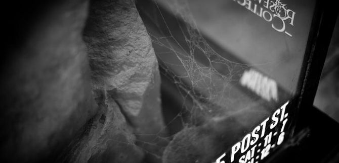 REBLOG :: TOP 10 REASONS I LOVE THSF