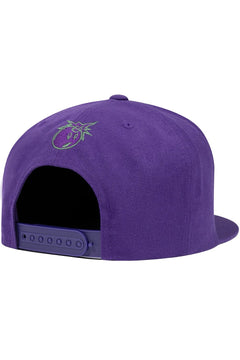 CryptoPunks Snapback