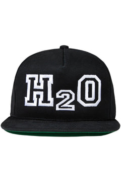 The Hundreds X H2O Snapback