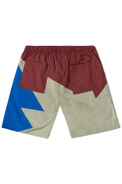 Spark Hybrid Shorts