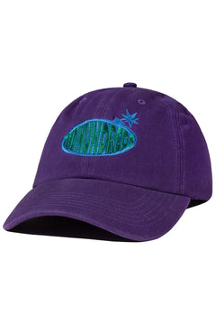 Stanley Dad Hat