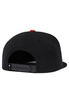 Team Snapback