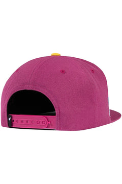 Team Snapback