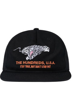 Work Snapback