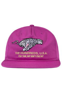 Work Snapback