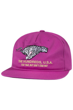 Work Snapback