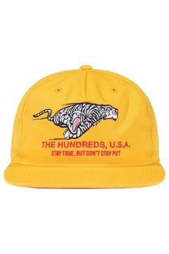 Work Snapback