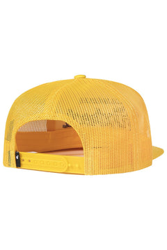 Team Snapback
