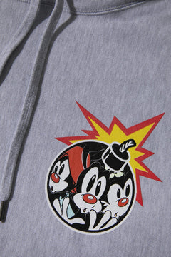 Wakko, Yakko, and Dot Pullover Hoodie