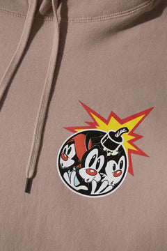 Wakko, Yakko, and Dot Pullover Hoodie