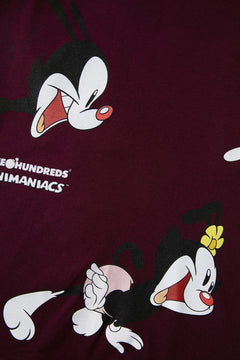 Wakko, Yakko, and Dot T-Shirt