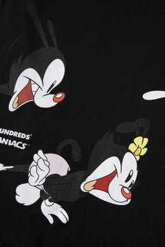 Wakko, Yakko, and Dot T-Shirt