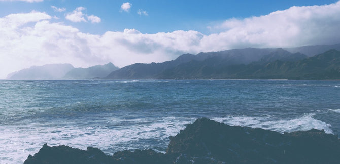Making Pictures :: Texting & Driving in Oahu