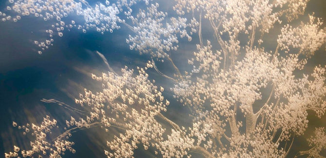 MANMADE BY NATURE :: Through the Lens of the Artist