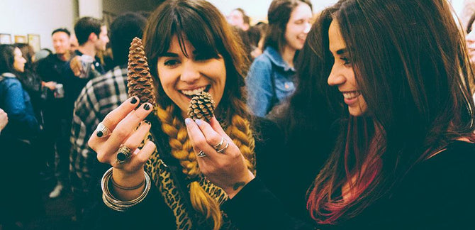 Conversations with a Pine Cone