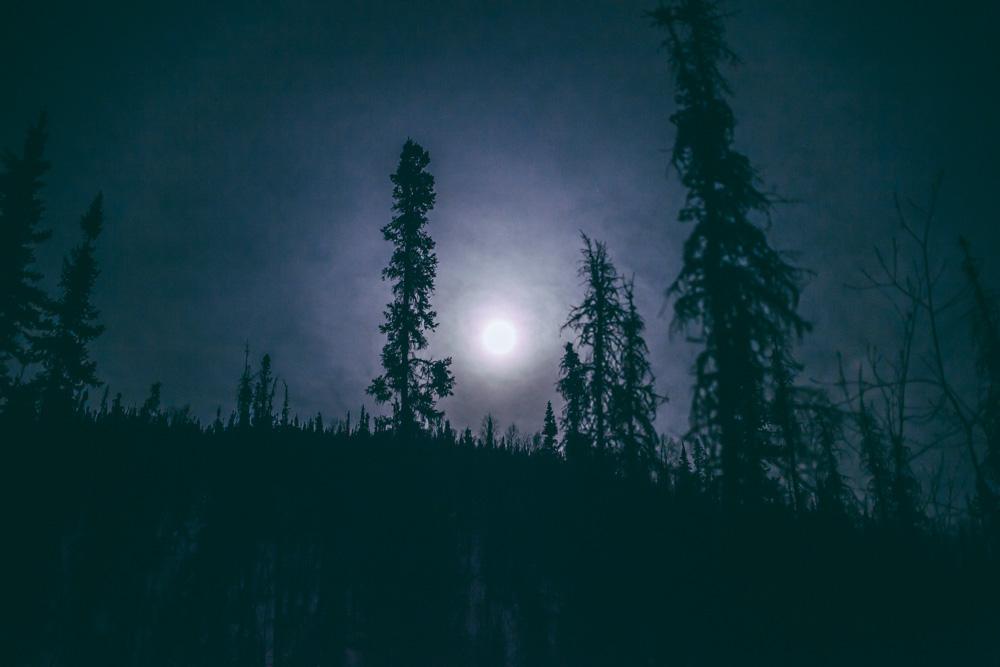 Fairbanks Pt. 1 :: Panning for Photographic Gold