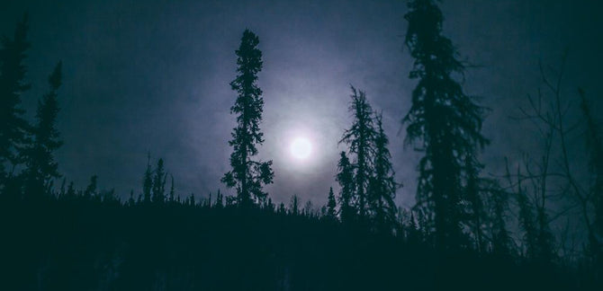 Fairbanks Pt. 1 :: Panning for Photographic Gold