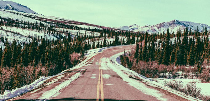 Photo Set :: Fairbanks & Denali National Park & Preserve