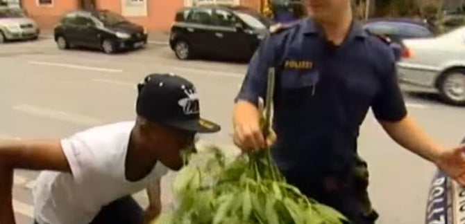 IST DAS GANJA?