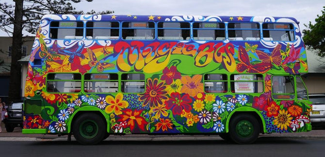 Wicked Vans of Byron Bay