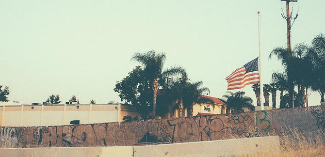 Picture This :: 11.13.13