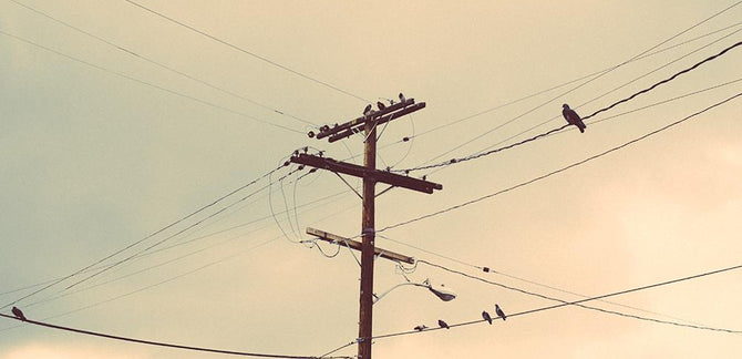 Picture This :: 5.14.13