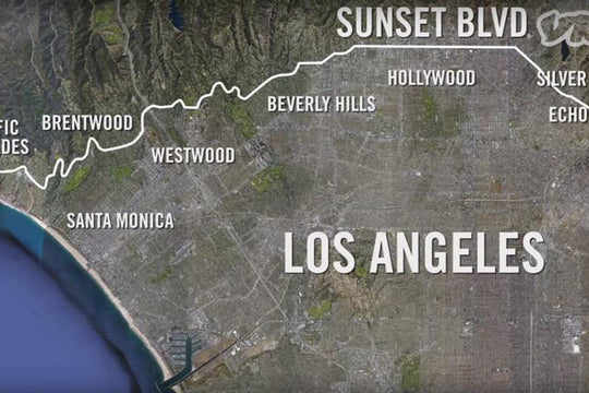 VICE Travels Through Sunset Boulevard's History