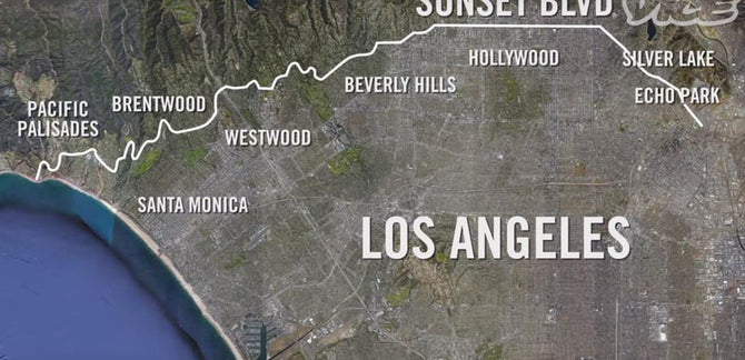 VICE Travels Through Sunset Boulevard's History