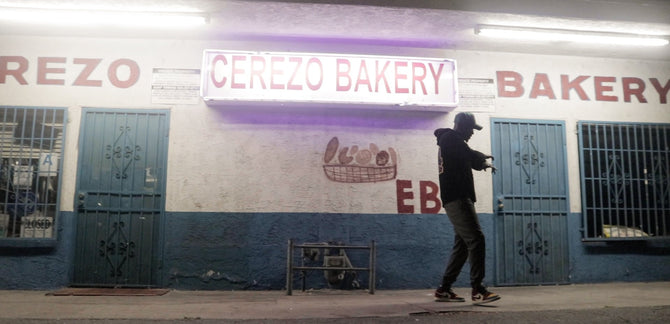 THE REINTRODUCTION :: An Interview with Bando