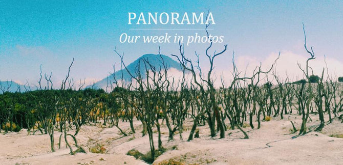 #TheHundredsPanorama :: Our Week in Photos :: 11.15.15