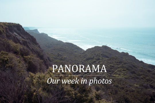 PANORAMA :: OUR WEEK IN PHOTOS :: 2.21.15