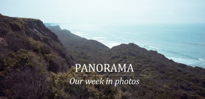 PANORAMA :: OUR WEEK IN PHOTOS :: 2.21.15