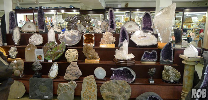The World's Most Incredible Fossil and Mineral Shop