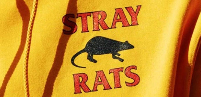 2.24.16 :: Supreme, Stray Rats, Nixon