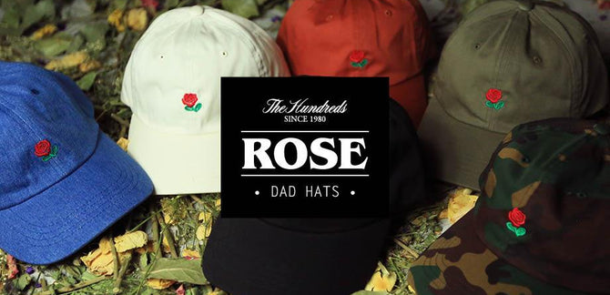 Fan Favorite :: New 