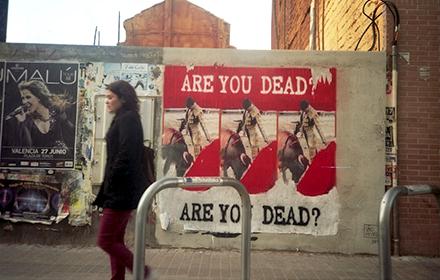 Interview with Street Artist 