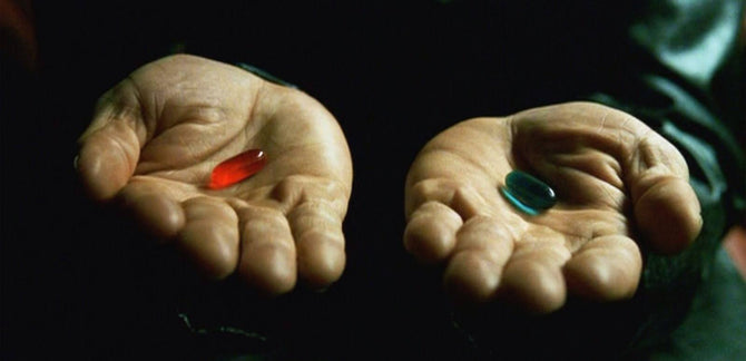 THE MATRIX HAS US :: The Sci-Fi Classic's Startling Modern-Day Relevance