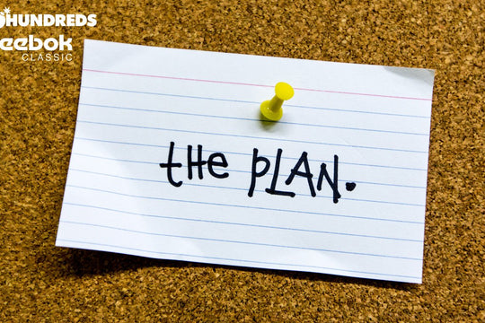 THE PLAN.
