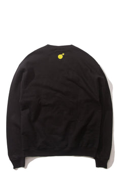 Slant Champion Crewneck