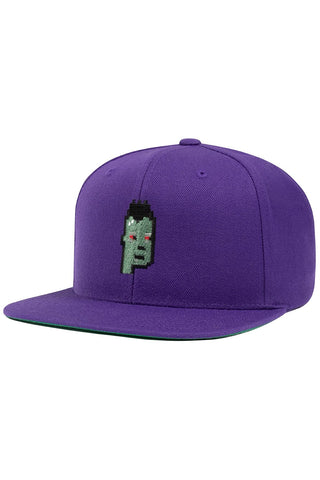 CryptoPunks Snapback