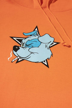 FTW Pullover Hoodie