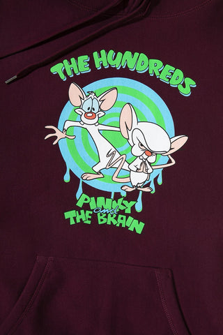 Pinky & Brain Pullover Hoodie
