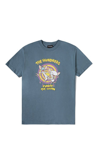Pinky & Brain Paint T-Shirt