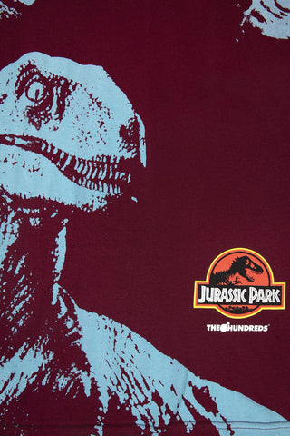 Raptor T-Shirt