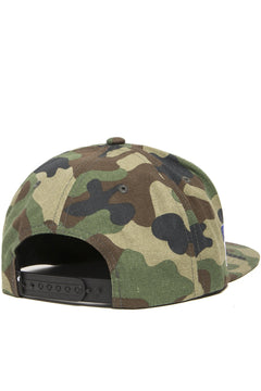 Team Snapback