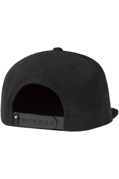 Team Snapback