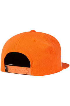 Team Snapback