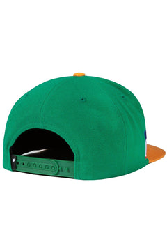 Team Snapback